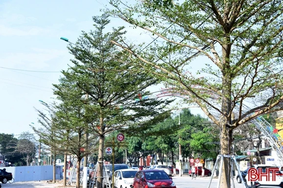 Ra sức xây dựng thành phố Hà Tĩnh xanh, đẹp hơn