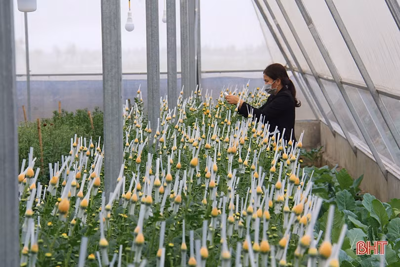 Người dân Hà Tĩnh hăng say lao động hướng về Đại hội Đảng