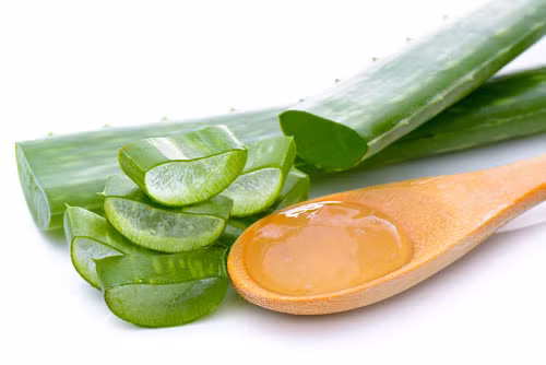 7 cách trị vết muỗi đốt tại nhà không cần bôi thuốc