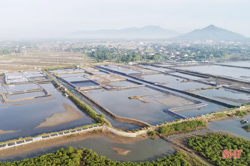 Quê biển Lộc Hà mỗi ngày lại sáng