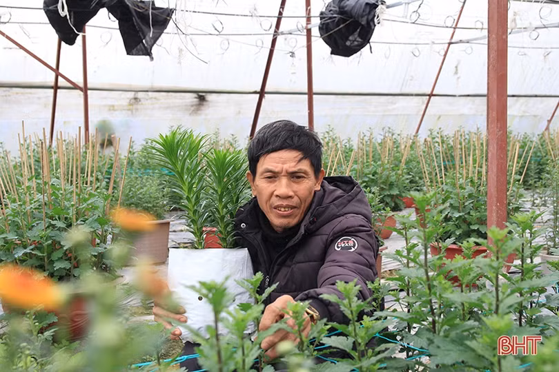 Người dân Hà Tĩnh hăng say lao động hướng về Đại hội Đảng