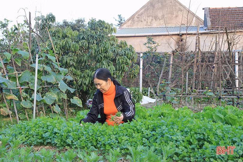 Người dân Hà Tĩnh hăng say lao động hướng về Đại hội Đảng