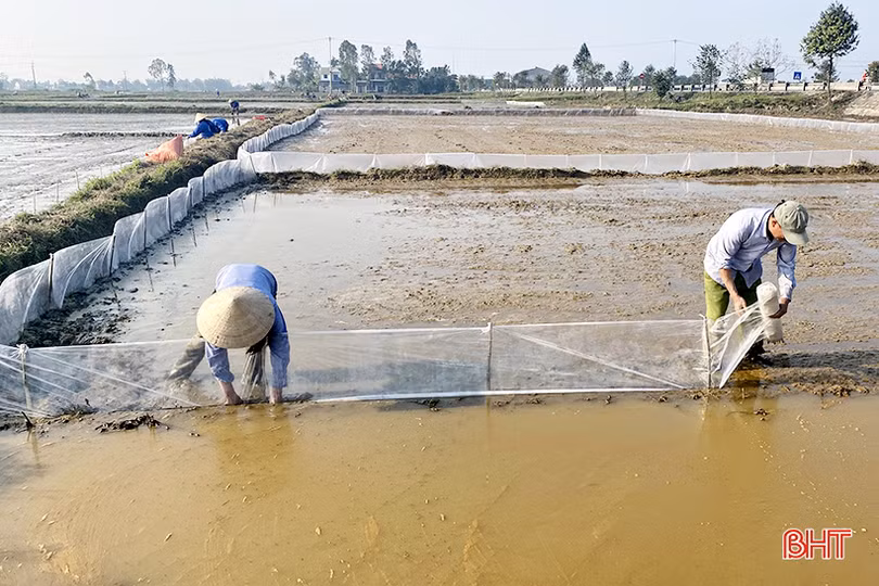 Sản xuất vụ xuân 2021 ở Hà Tĩnh đảm bảo tiến độ, kế hoạch đề ra