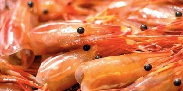 6 sai lầm điển hình khi ăn tôm mà 90% người thường mắc phải ảnh 2 6 sai lầm điển hình khi ăn tôm mà 90% người thường mắc phải