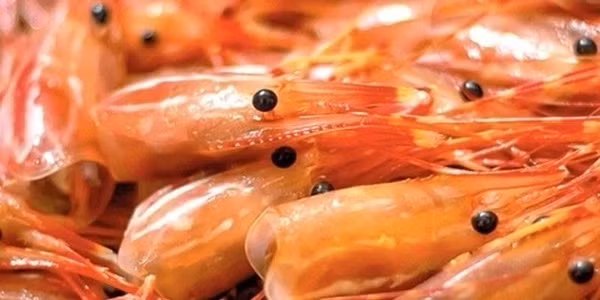 6 sai lầm điển hình khi ăn tôm mà 90% người thường mắc phải