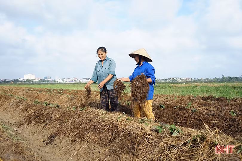 Người dân vùng lũ Hà Tĩnh “gói” khó khăn, “mở” niềm hy vọng