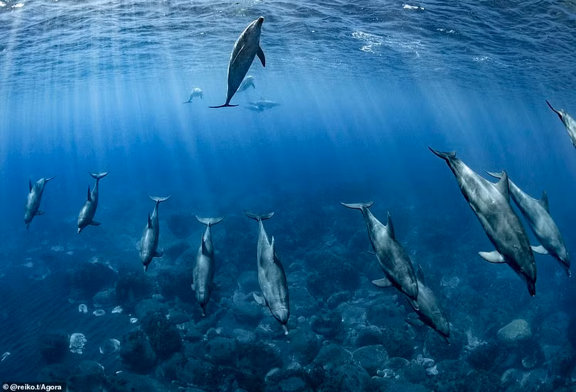 Nhiều ảnh chụp Việt Nam tranh giải Best Photo Of 2020 của Agora