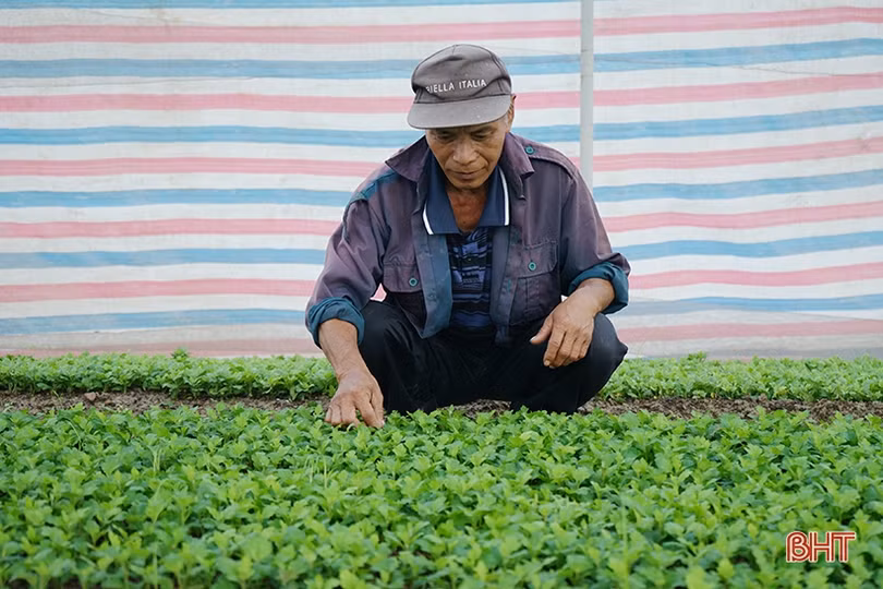 Người dân vùng lũ Hà Tĩnh “gói” khó khăn, “mở” niềm hy vọng