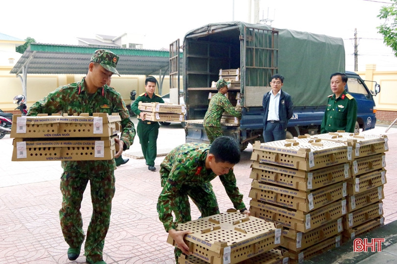 Thêm nhiều món quà ý nghĩa hướng về người dân Hà Tĩnh