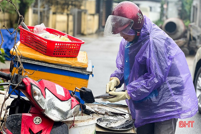 Mỗi ngày, dù mưa hay nắng, những người phụ nữ từ các làng biển vẫn rong ruổi những chuyến xe bán rong khắp các con phố... bqbht_br_16.jpg