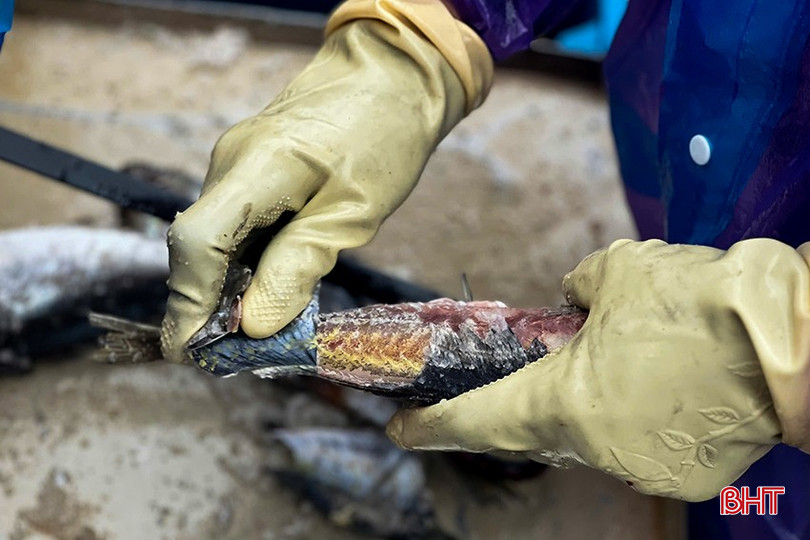 Những người bán cá rong, họ không chỉ mang theo sản vật của biển mà còn mang vị biển đến giữa lòng người... bqbht_br_14.jpg