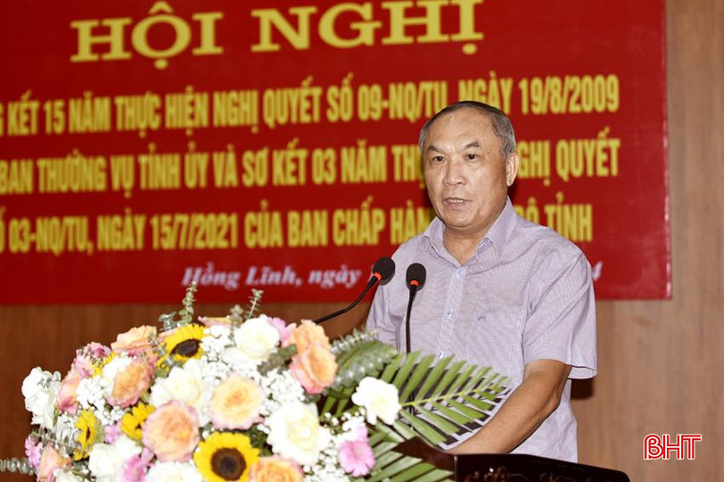 Trưởng ban Tổ chức Tỉnh uỷ Võ Hồng Hải phát biểu chỉ đạo tại hội nghị. DT_DSC1662 (1).jpg