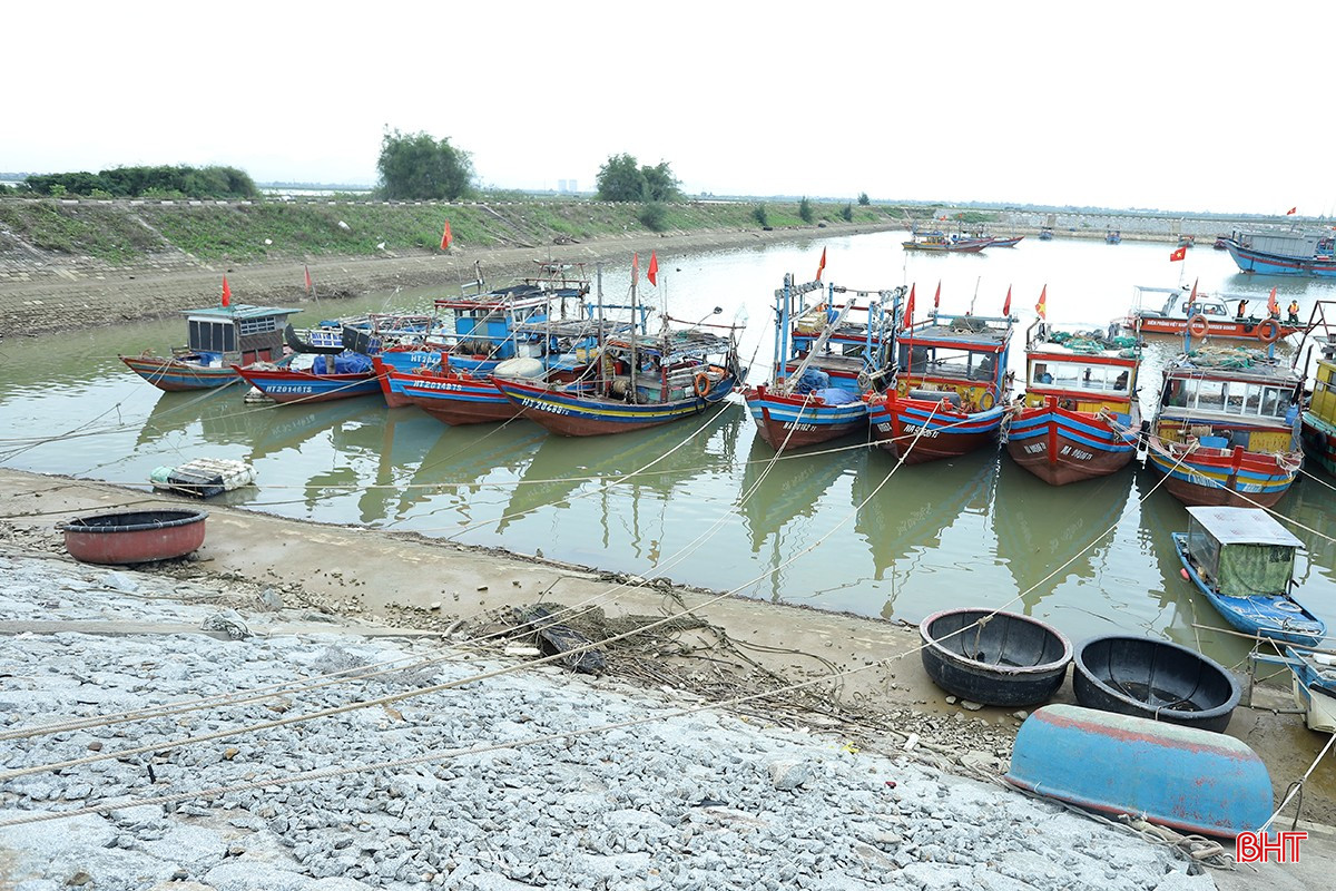 Barcos anclados en el puerto pesquero y zona de refugio contra tormentas de Cua Hoi - Xuan Pho. bqbht_br_tau-thuyen.jpg
