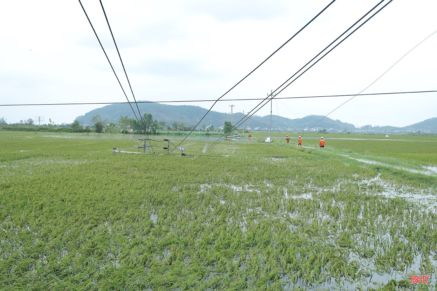 Storm No. 5 caused heavy damage to the electricity industry in Ha Tinh. bqbht_br_mat-dien-sau-bao-2.jpg