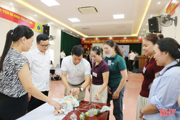 Hà Tĩnh sẵn sàng nhân lực cho đề án cấp cứu ngoại viện