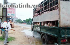 Tiêu độc phương tiện vận chuyển gia súc trên QL 1A tại Trạm Kiểm dịch Gia Lách