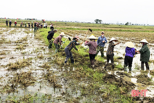 Đức Thọ ra quân phá bỏ bờ vùng, bờ thửa, hình thành cánh đồng lớn
