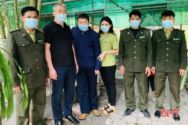 1 người dân bàn giao 44 cá thể rùa quý hiếm cho Vườn Quốc gia Vũ Quang