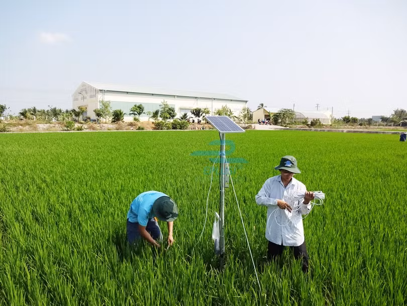 Nông dân Can Lộc lắp camera trên đồng ruộng để làm nông nghiệp sạch