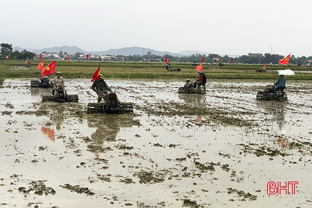 Đức Thọ ra quân phá bỏ bờ vùng, bờ thửa, hình thành cánh đồng lớn