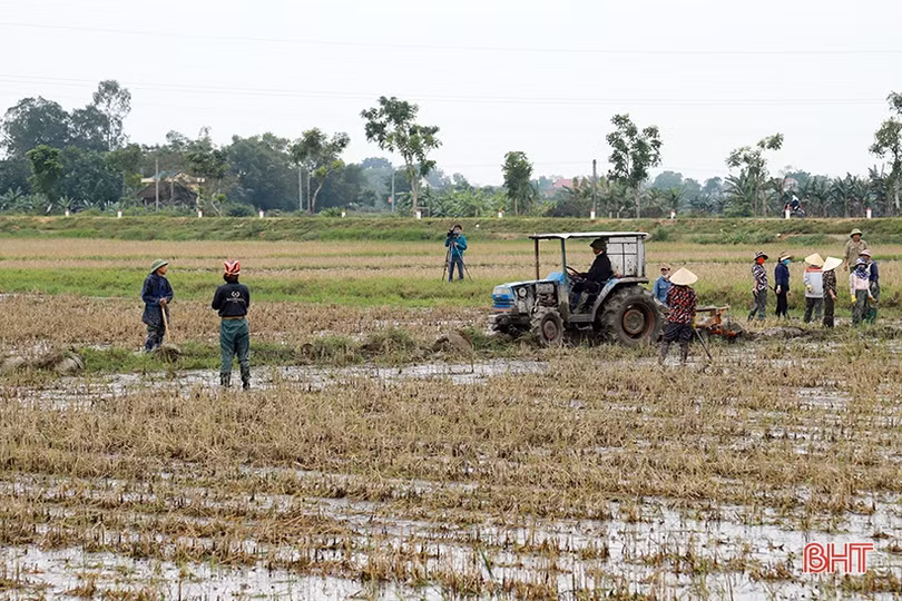 Phá bờ thửa nhỏ - cuộc “cách mạng” trên đồng ruộng Đức Thọ