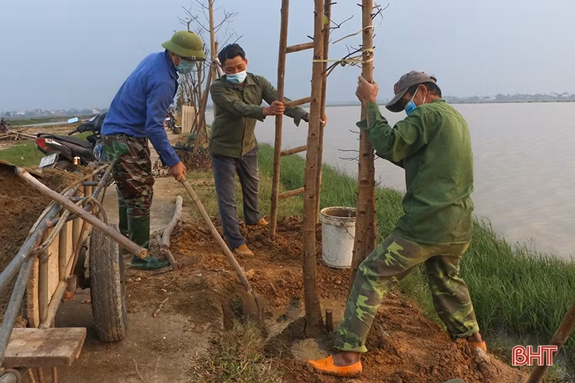 Trồng thêm gần 41.000 cây xanh, TP Hà Tĩnh ngày càng xanh đẹp hơn