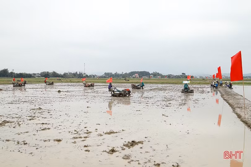 Phá bờ thửa nhỏ - cuộc “cách mạng” trên đồng ruộng Đức Thọ