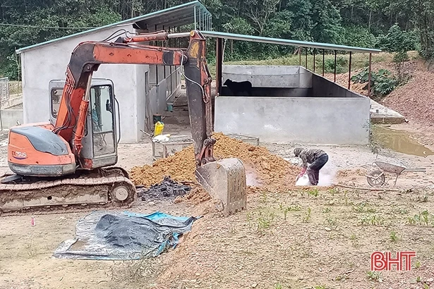 Hương Sơn xuất hiện dịch tả lợn châu Phi