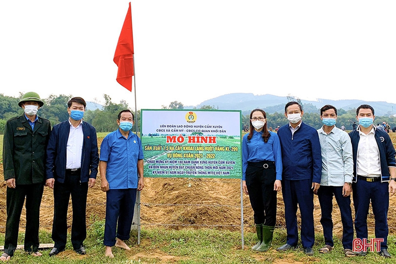 Trồng khoai lang ruột vàng ở vùng hạ du hồ Kẻ Gỗ