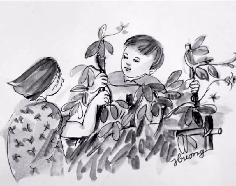 Xa rồi bờ giậu bờ rào