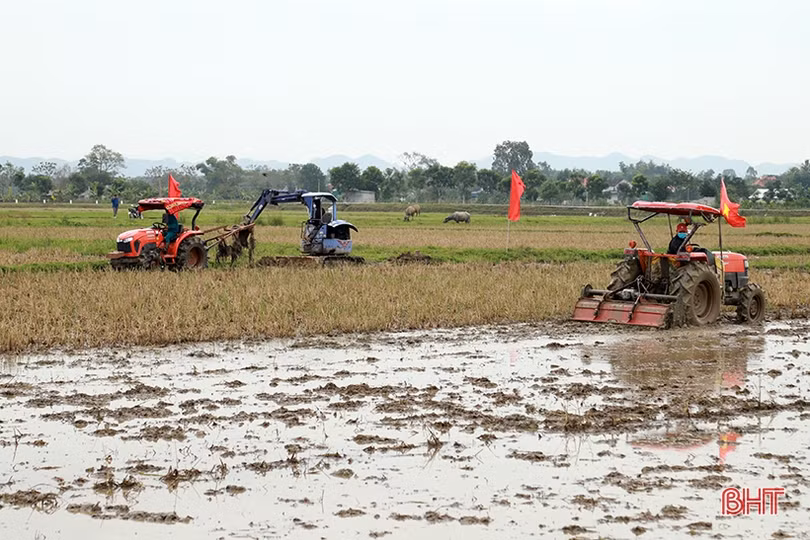 Phá bờ thửa nhỏ - cuộc “cách mạng” trên đồng ruộng Đức Thọ