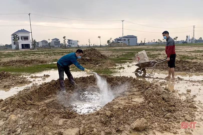 Trồng thêm gần 41.000 cây xanh, TP Hà Tĩnh ngày càng xanh đẹp hơn