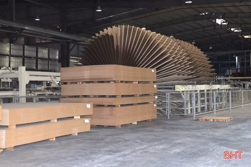 Nhà máy sản xuất gỗ công nghiệp lớn nhất Hà Tĩnh tất bật với đơn hàng cuối năm