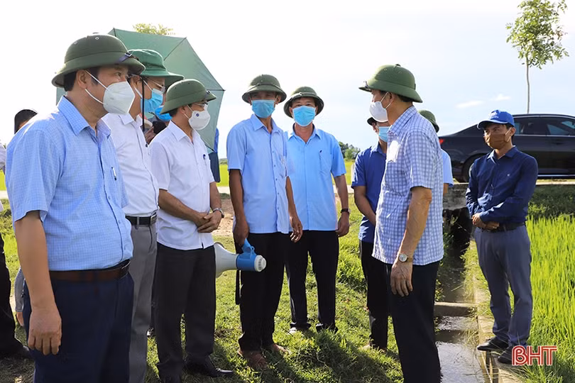 Nông dân Can Lộc lắp camera trên đồng ruộng để làm nông nghiệp sạch