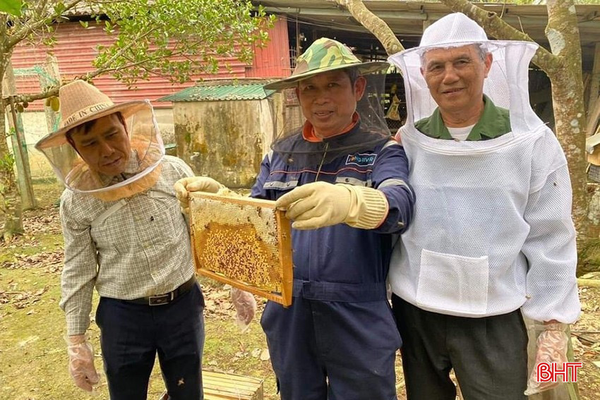 Ông Nguyễn Trí Thức (ở giữa) cùng các thành viên tổ hợp tác kiểm tra chất lượng mật trước khi thu hoạch.