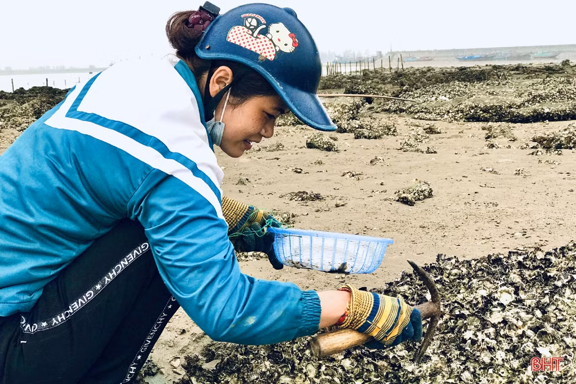 Xem phụ nữ miền biển Hà Tĩnh đục đá tìm hàu