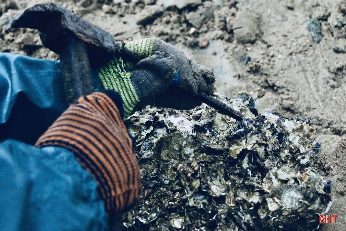 Xem phụ nữ miền biển Hà Tĩnh đục đá tìm hàu