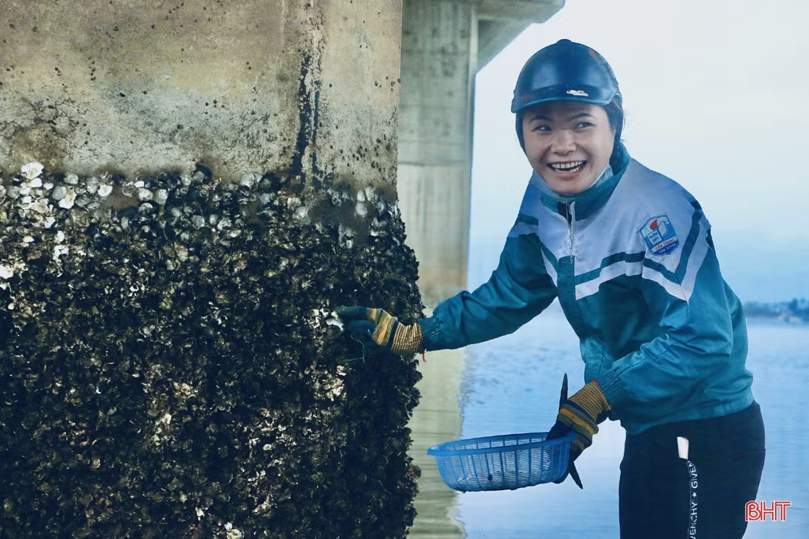 Xem phụ nữ miền biển Hà Tĩnh đục đá tìm hàu