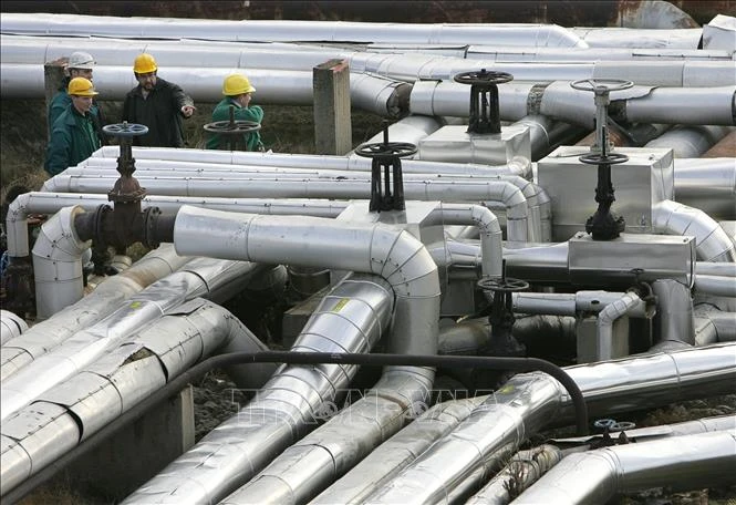 Thế giới ngày qua: Bắt đầu Tháng lễ Ramadan của người Hồi giáo năm 2019