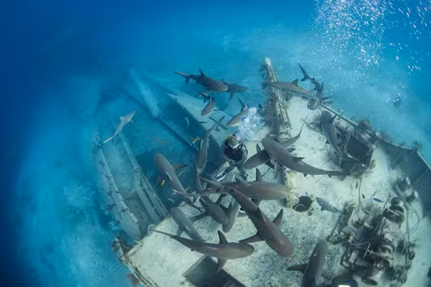 14 khu lặn biển ngoạn mục bậc nhất thế giới