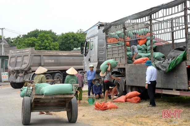 Liên kết sản xuất, nông dân Kỳ Anh phấn khởi bán thóc tươi tại chân ruộng