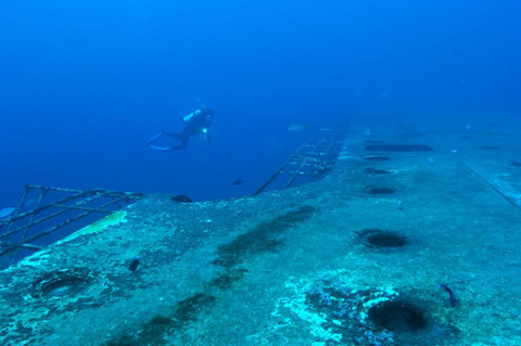 14 khu lặn biển ngoạn mục bậc nhất thế giới ảnh 4 14 khu lặn biển ngoạn mục bậc nhất thế giới