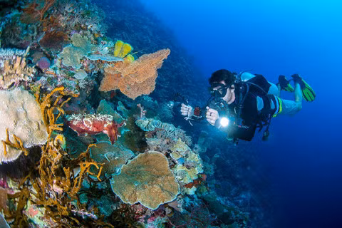 14 khu lặn biển ngoạn mục bậc nhất thế giới ảnh 5 14 khu lặn biển ngoạn mục bậc nhất thế giới