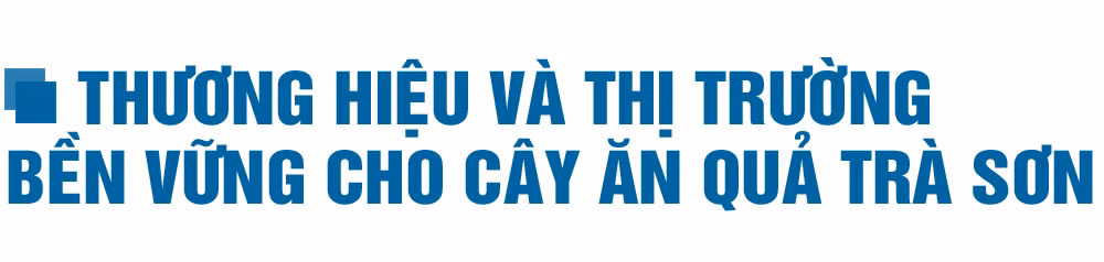 Phát triển kinh tế trong xây dựng huyện Can Lộc đạt chuẩn NTM nâng cao (bài 1): Sản xuất theo chiều sâu ở 3 vùng sinh thái