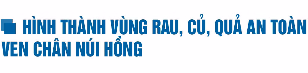 Phát triển kinh tế trong xây dựng huyện Can Lộc đạt chuẩn NTM nâng cao (bài 1): Sản xuất theo chiều sâu ở 3 vùng sinh thái