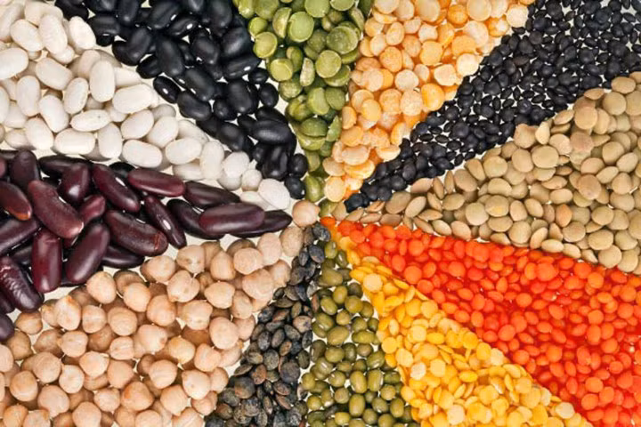 nhung loai thuc pham giau chat beo ban dung tu bo