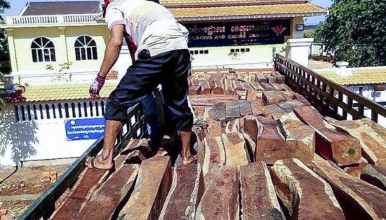 buon lau go tu campuchia vao viet nam tang manh