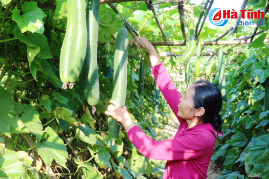 dan tuong son thu hon chuc ty tu bi xanh