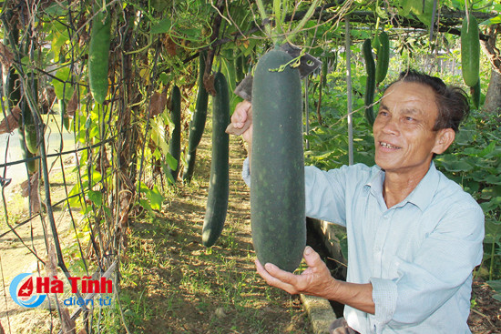 dan tuong son thu hon chuc ty tu bi xanh