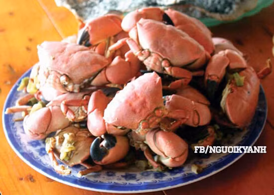 theo chan tho san cua da